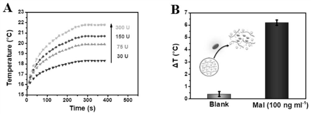 Temperature type biosensor and method for detecting target aptamer by using temperature type biosensor