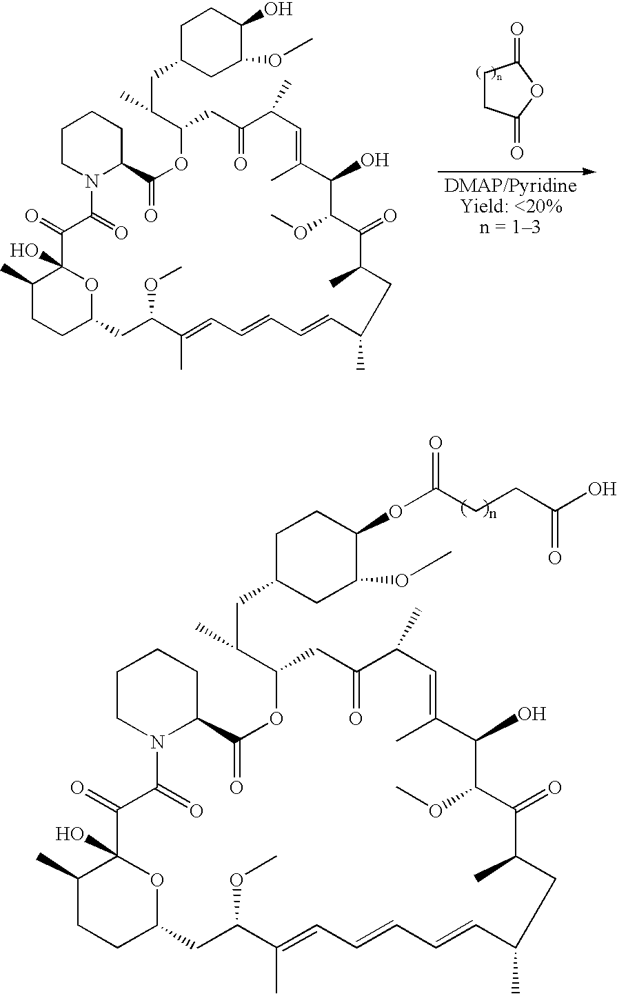 Process for preparing rapamycin 42-esters and FK-506 32-esters with dicarboxylic acid, precursors for rapamycin conjugates and antibodies