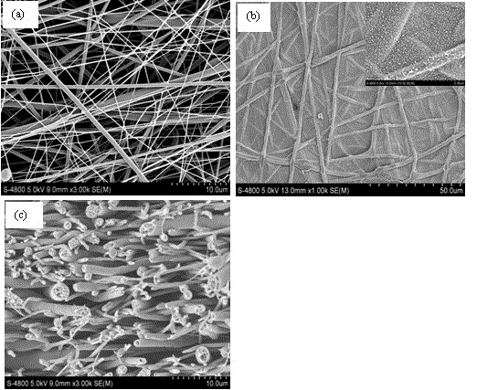 Hydrophilic and hydrophobic interpenetrating network nanofiber, forward osmosis membrane and preparation method
