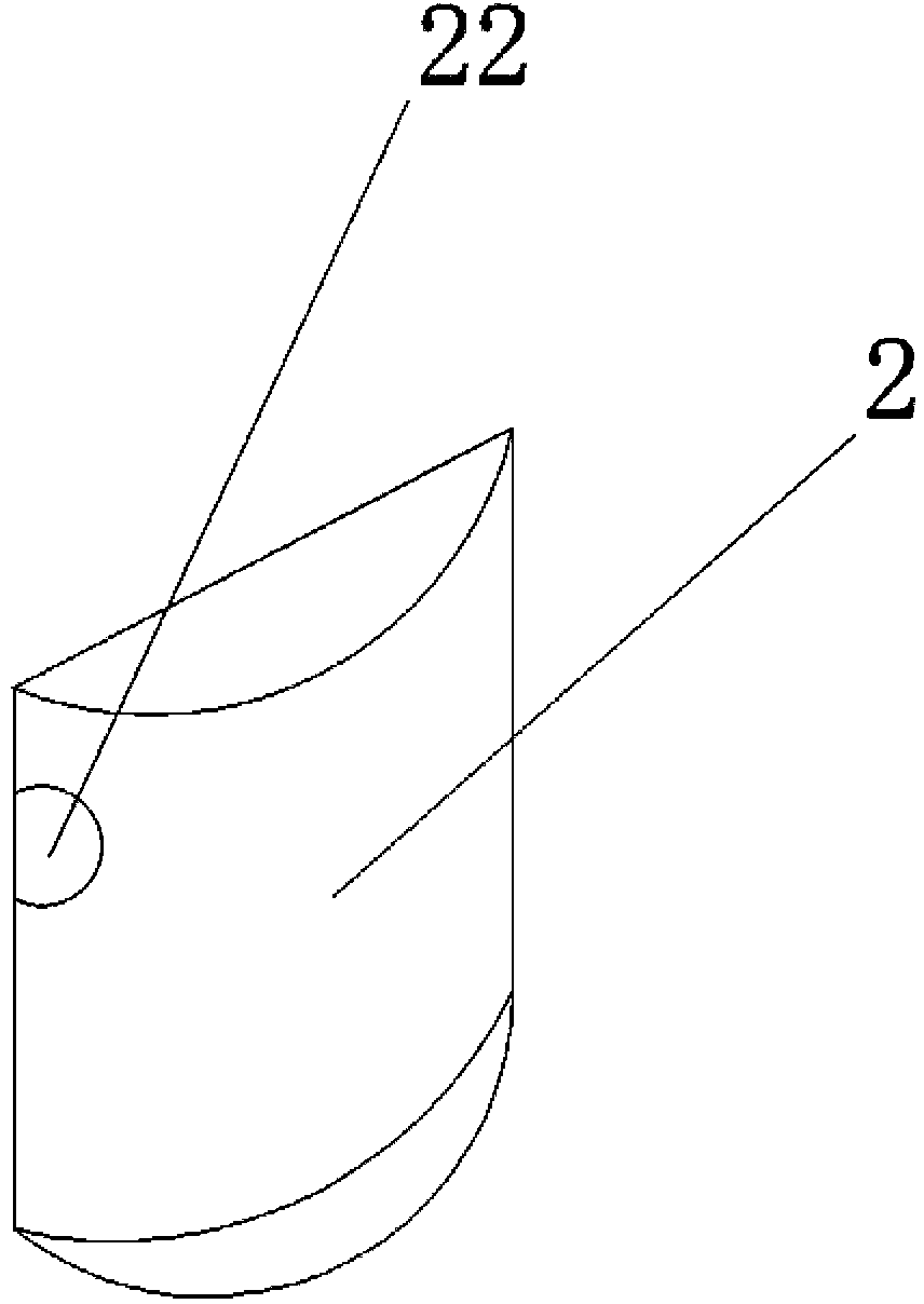 Vertical wall body greening method and plant curtain wall formed by using same