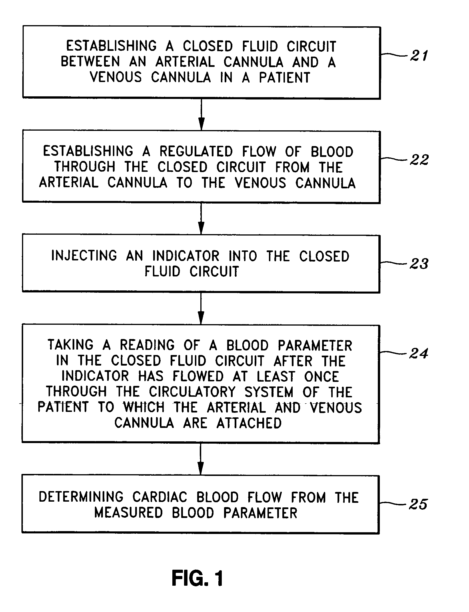 System and method for determining cardiac output