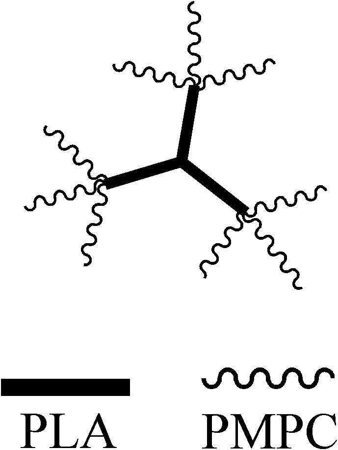 Tribrachia hyperbranched star-shaped amphiphilic polylactic acid-poly2-methyl acryloyloxy ethyl phosphorlcholine block polymer and preparation method thereof