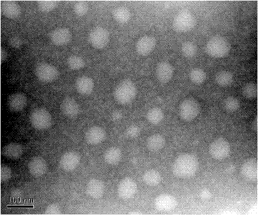 Tribrachia hyperbranched star-shaped amphiphilic polylactic acid-poly2-methyl acryloyloxy ethyl phosphorlcholine block polymer and preparation method thereof