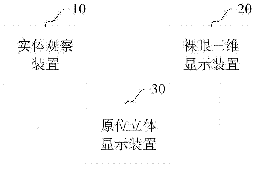 Microscopic system and microscopic method based on in-situ three-dimensional enhanced display