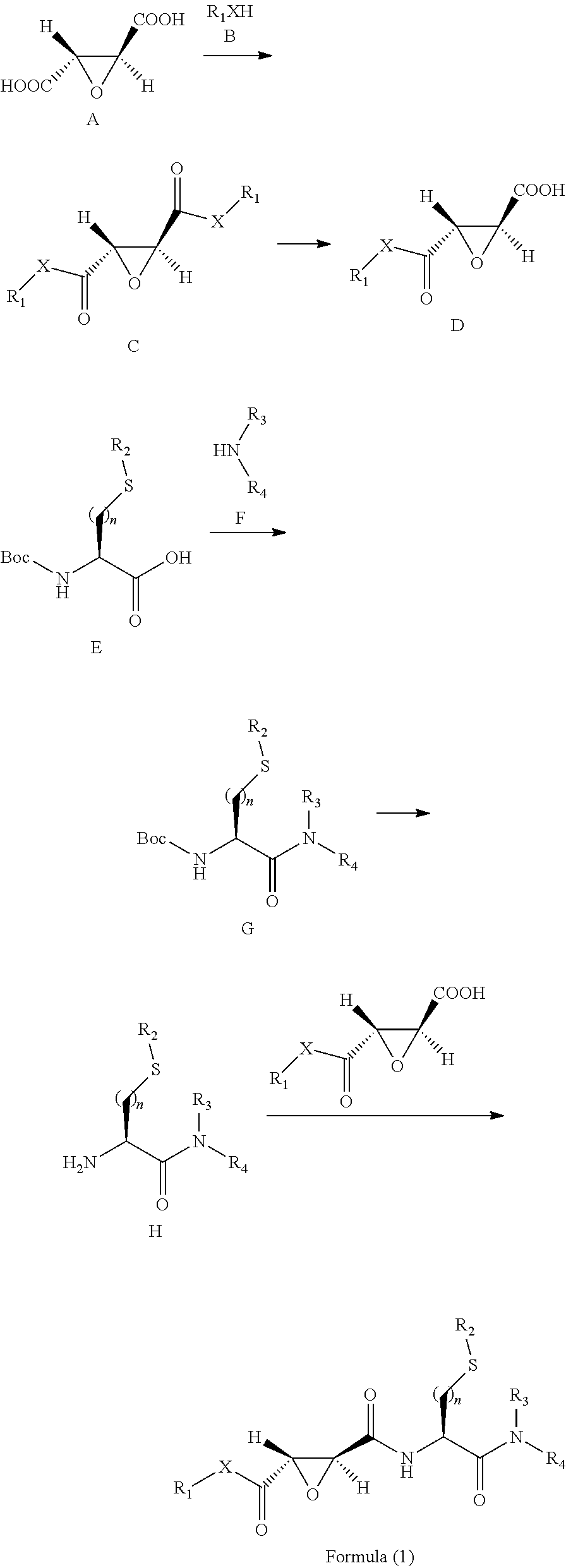 2,3-epoxy succinyl derivative, preparation method and use thereof