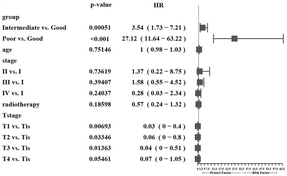 Cervical cancer prognosis marker microorganism and application thereof in preparation of cervical cancer prognosis prediction and diagnosis product