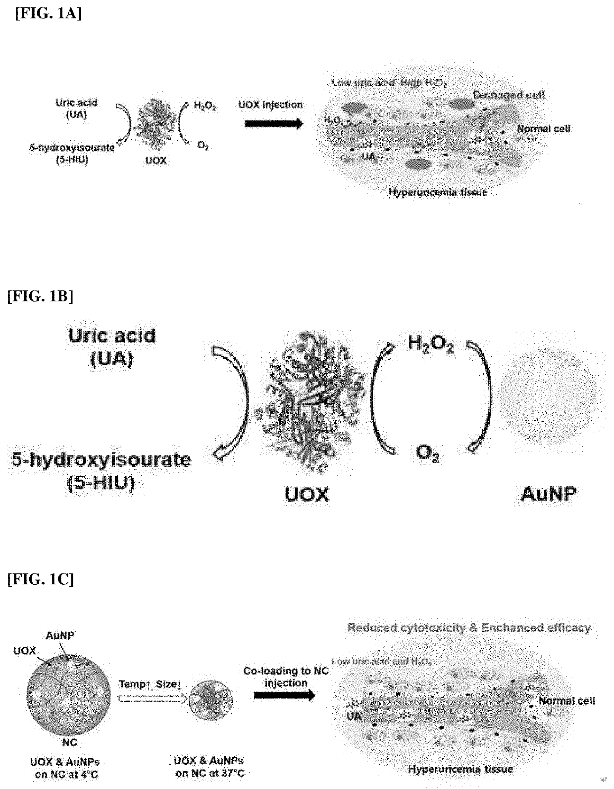 Drug Delivery System Comprising Nanocarrier Loaded with Urate Oxidase and Metal-Based Nanoparticle Capable of Degrading Hydrogen Peroxide and Pharmaceutical Composition Comprising the Same