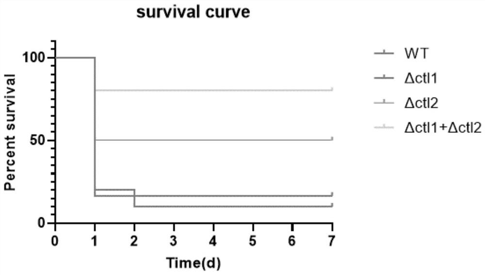 Application of flavobacterium columnare virulence protein in pathogen detection and low virulent strain preparation