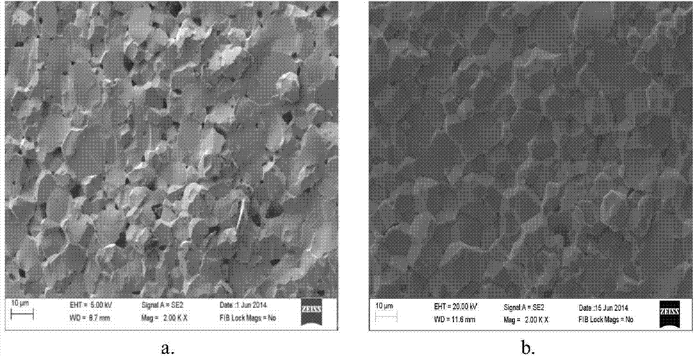 Preparation method of cobalt ferrite magnetostrictive material