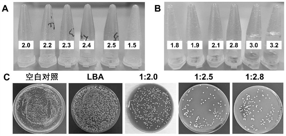 Preparation method of difunctional slow-release supramolecular hydrogel for injection