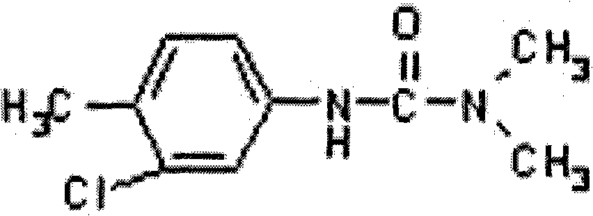 Herbicidal composition containing nicosulfuron and chlortoluron and application thereof