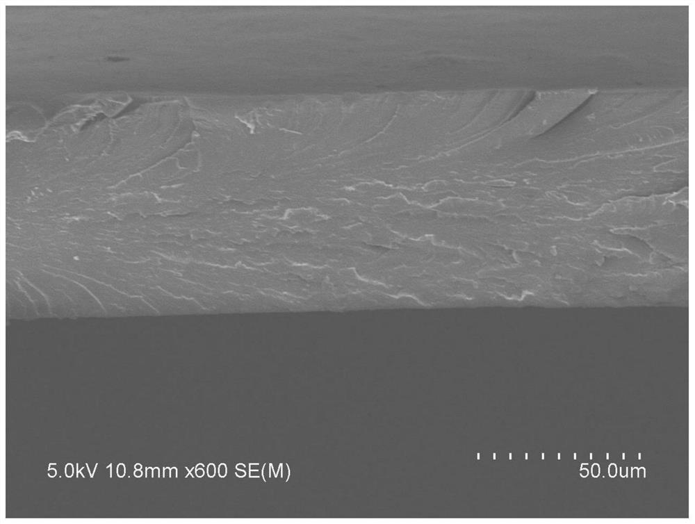 A kind of environment-friendly modified starch/feather protein graft copolymer composite slurry, preparation method and application thereof