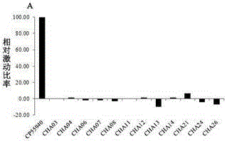 3-substituted coumarin derivatives and uses thereof