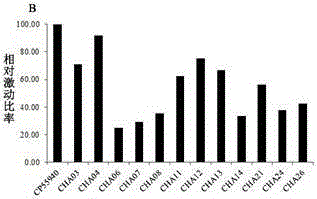 3-substituted coumarin derivatives and uses thereof