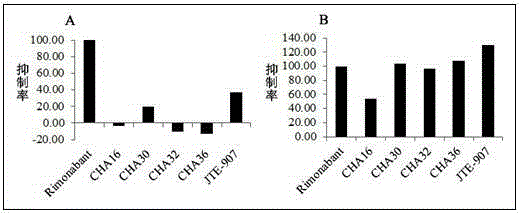 3-substituted coumarin derivatives and uses thereof