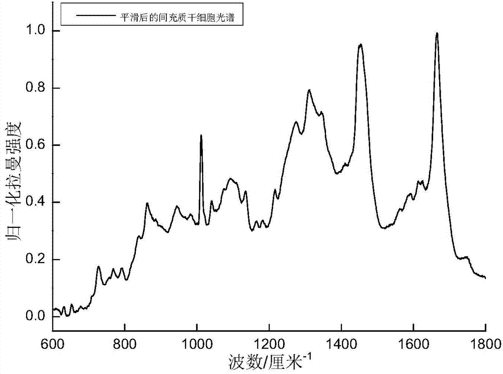 Method for obtaining true Raman spectrum of cell by multiple linear regression fitting