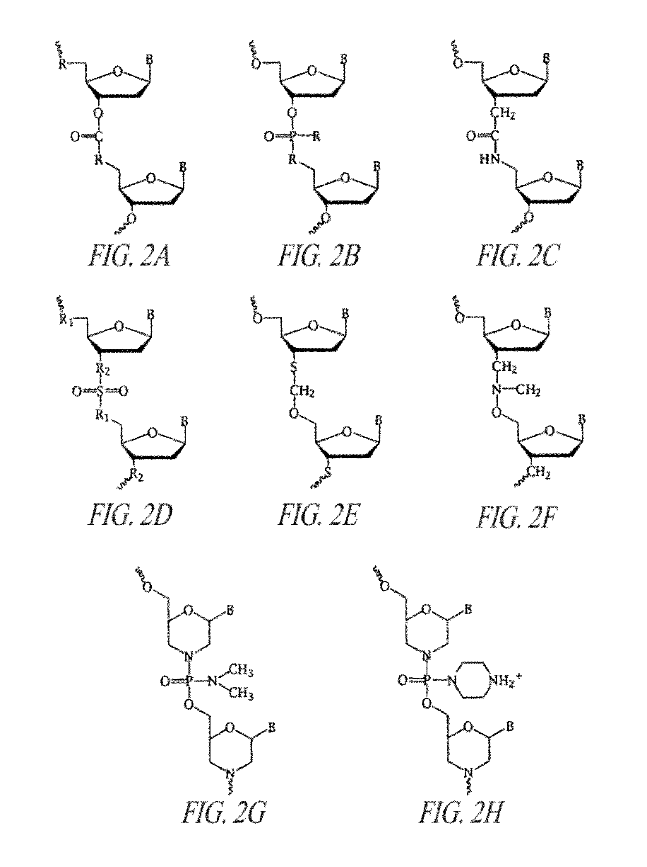 Antisense antiviral compounds and methods for treating a filovirus infection