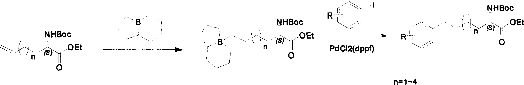 Method for synthesizing optically active derivative of omega - aryl ¿C (2S) ¿C N ¿C boc ¿Calpha amino acid