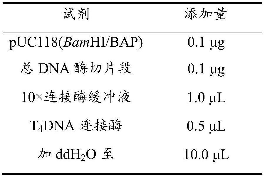 Cyclohexene carboxyl ester hydrolase and its mutant, coding gene, expression vector, recombinant bacteria and application