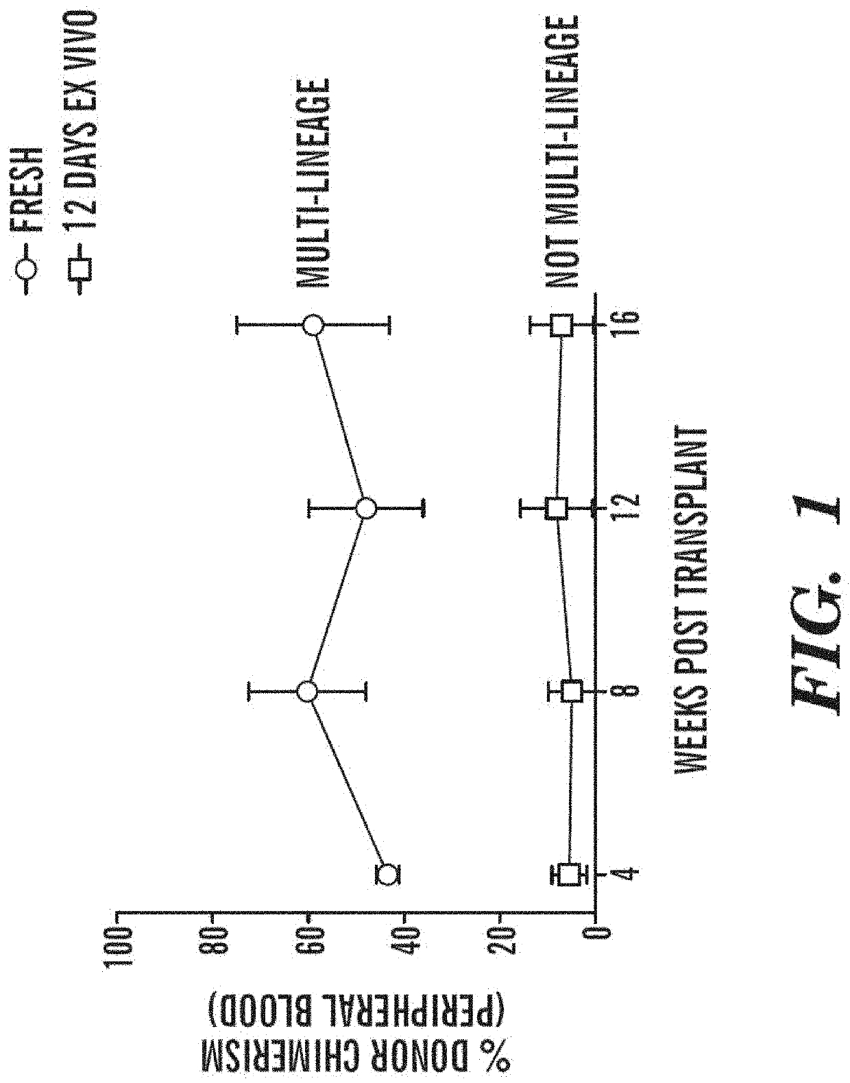 Methods and compositions relating to hematopoietic stem cell expansion, enrichment, and maintenance