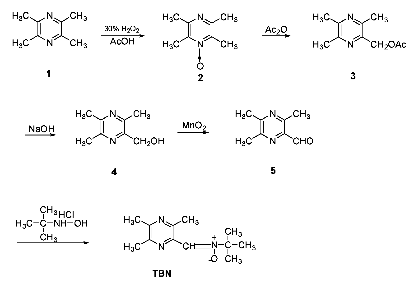 Nitrone compounds, process of preparation thereof, and use thereof in medicament manufacture