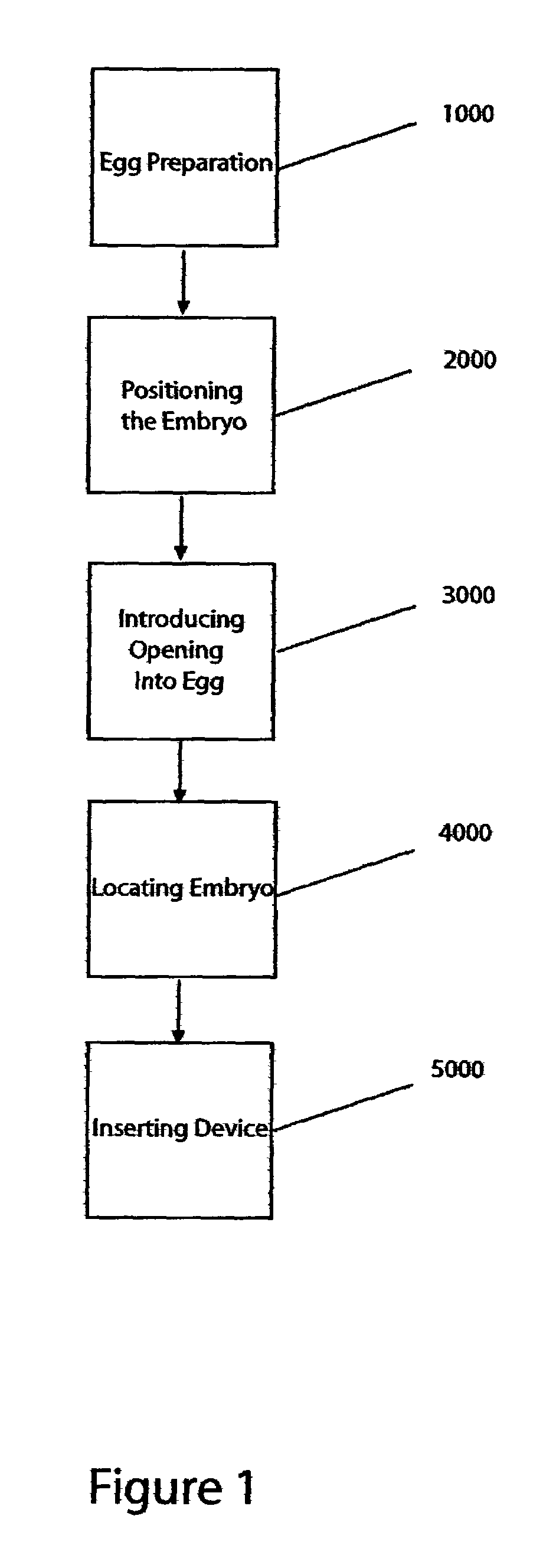 Methods for injecting avian eggs