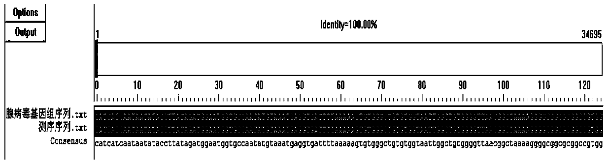 Primer combination and application for adenovirus detection and sequencing