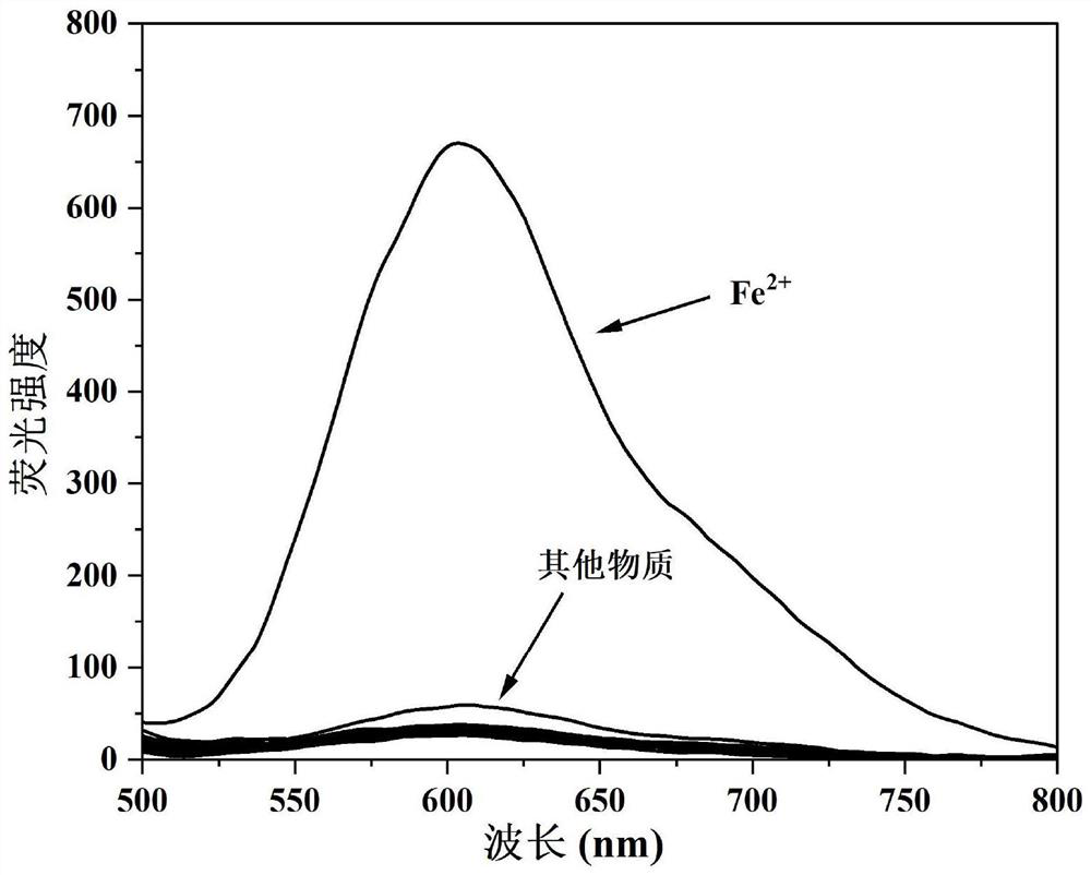 One for detection of fe  <sup>2+</sup> Camphor-based enhanced fluorescent probe and its preparation method and application