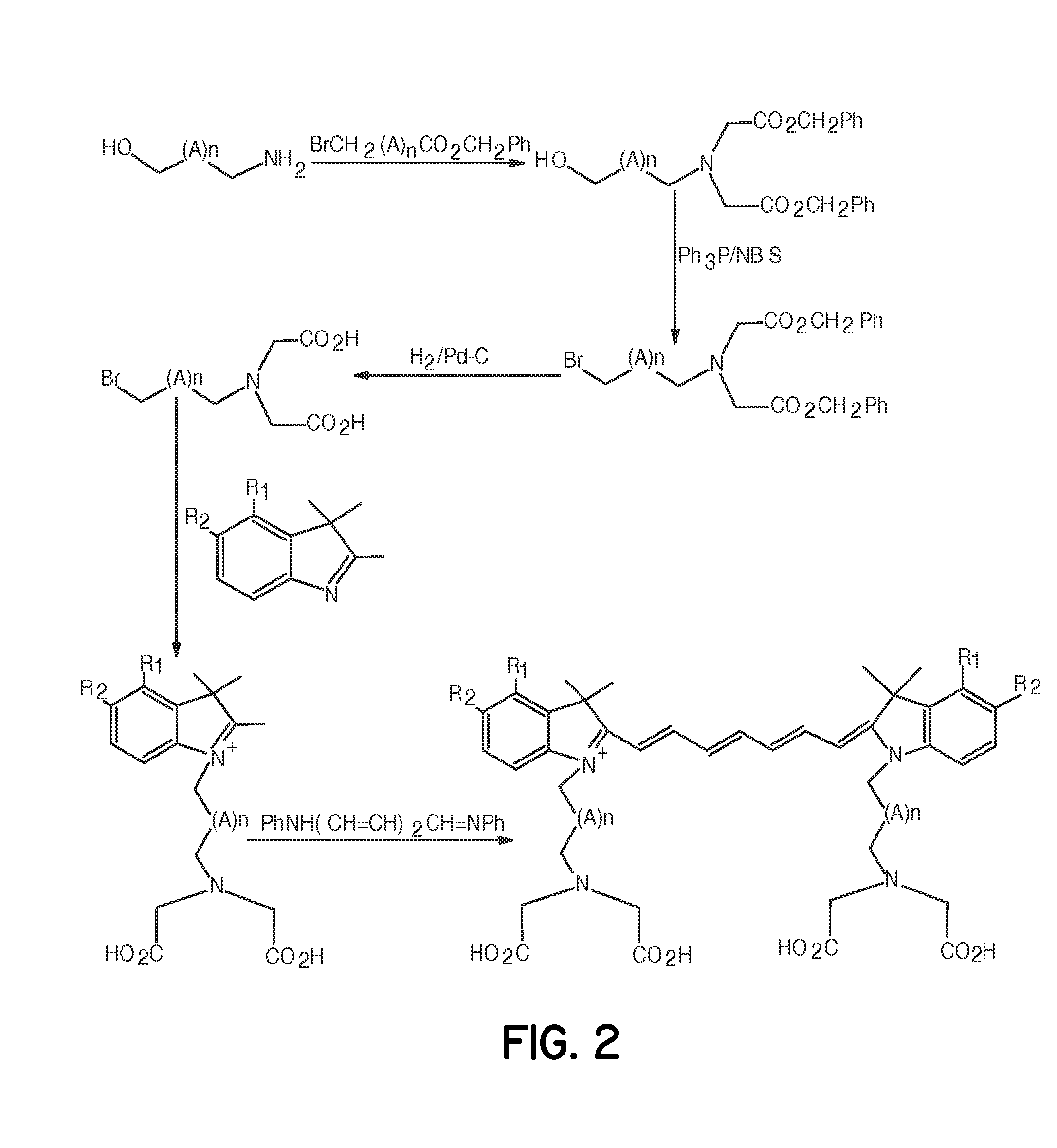 Tumor-targeted optical contrast agents