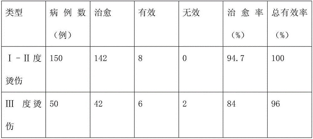 Burn and scald analgesic plaster and preparation method thereof