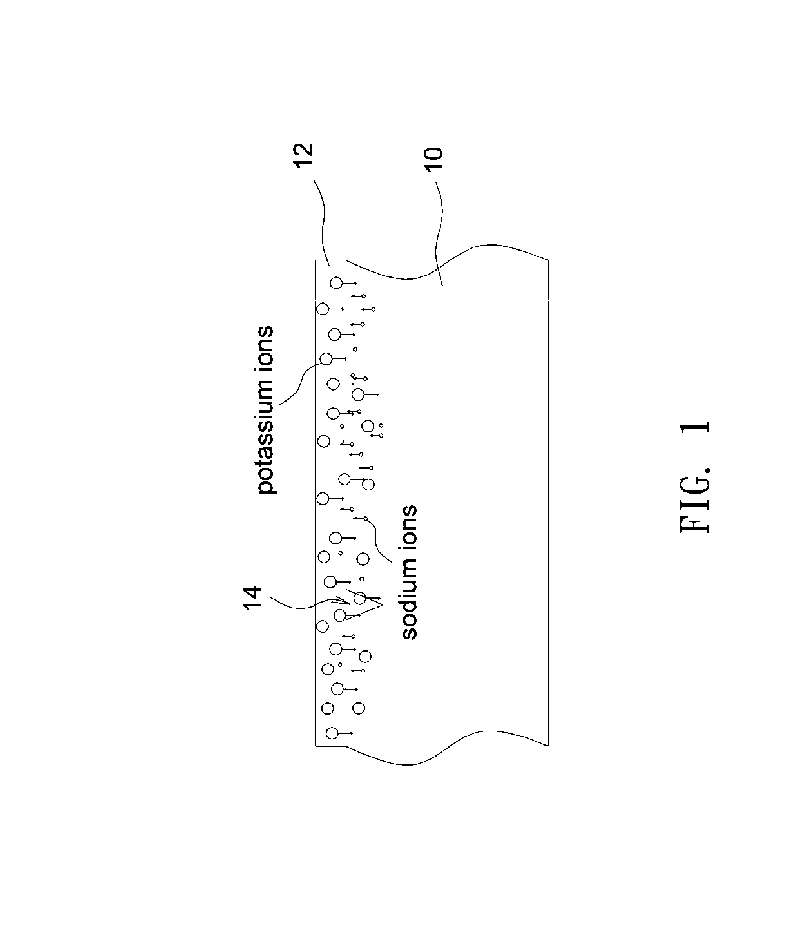 Strengthened glass article and touch-sensitive device