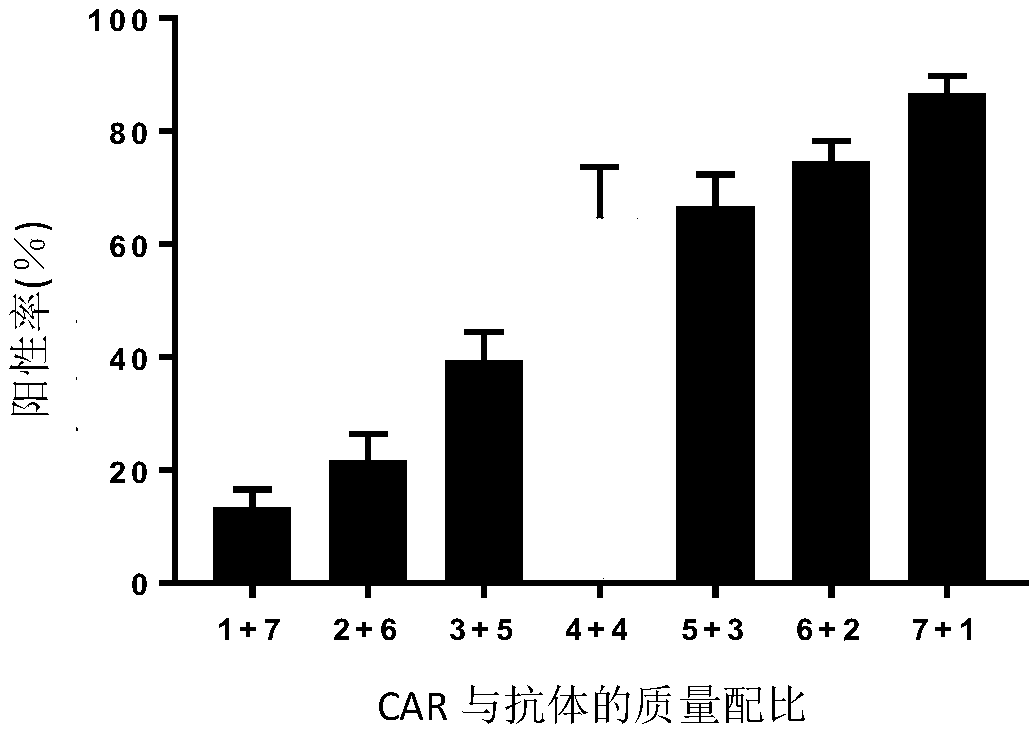 CAR-T cell targeting ErbB receptor family and self-expressing PD-1 antibody and use thereof