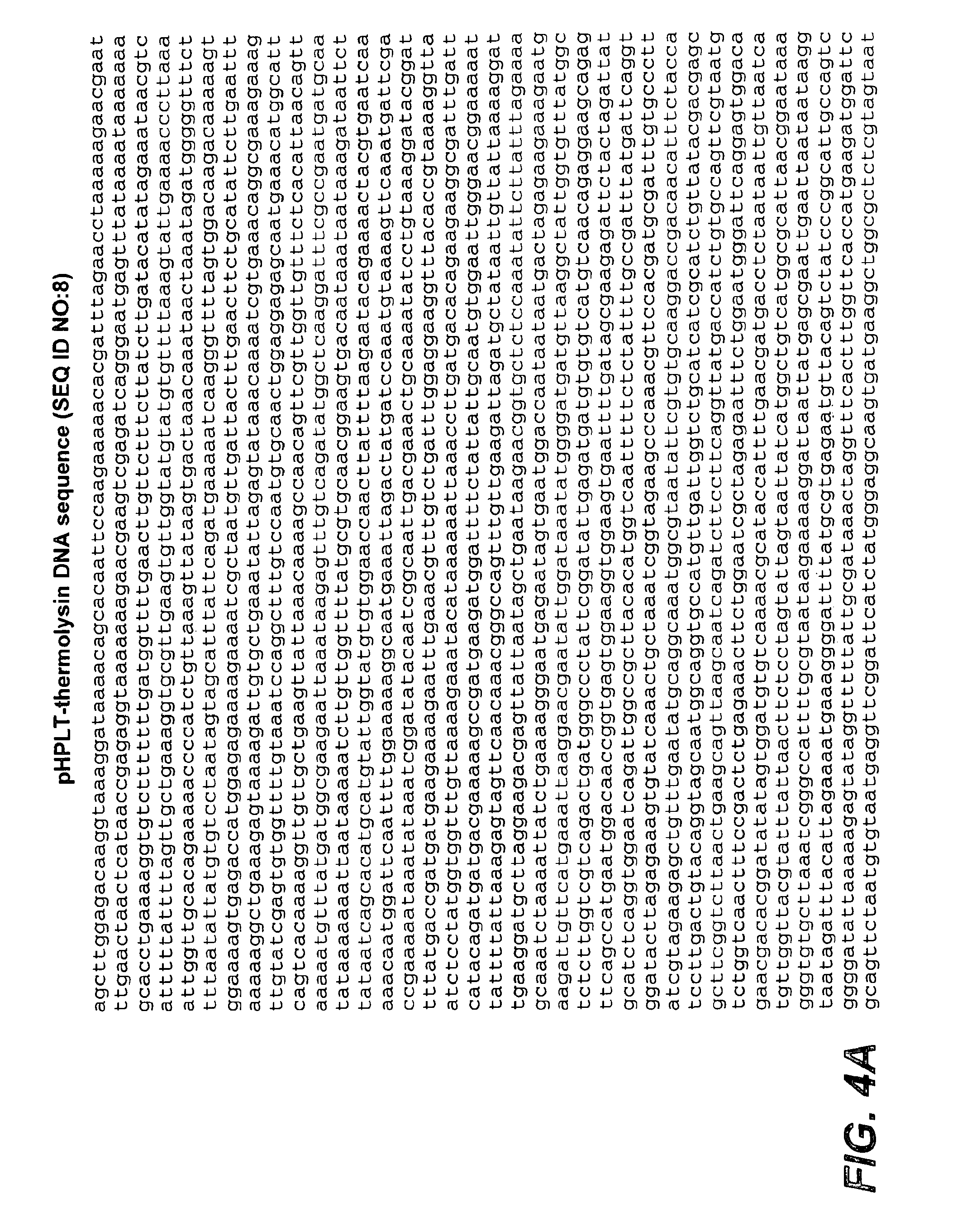Production of Thermolysin and Variants Thereof and Use In Liquid Detergents