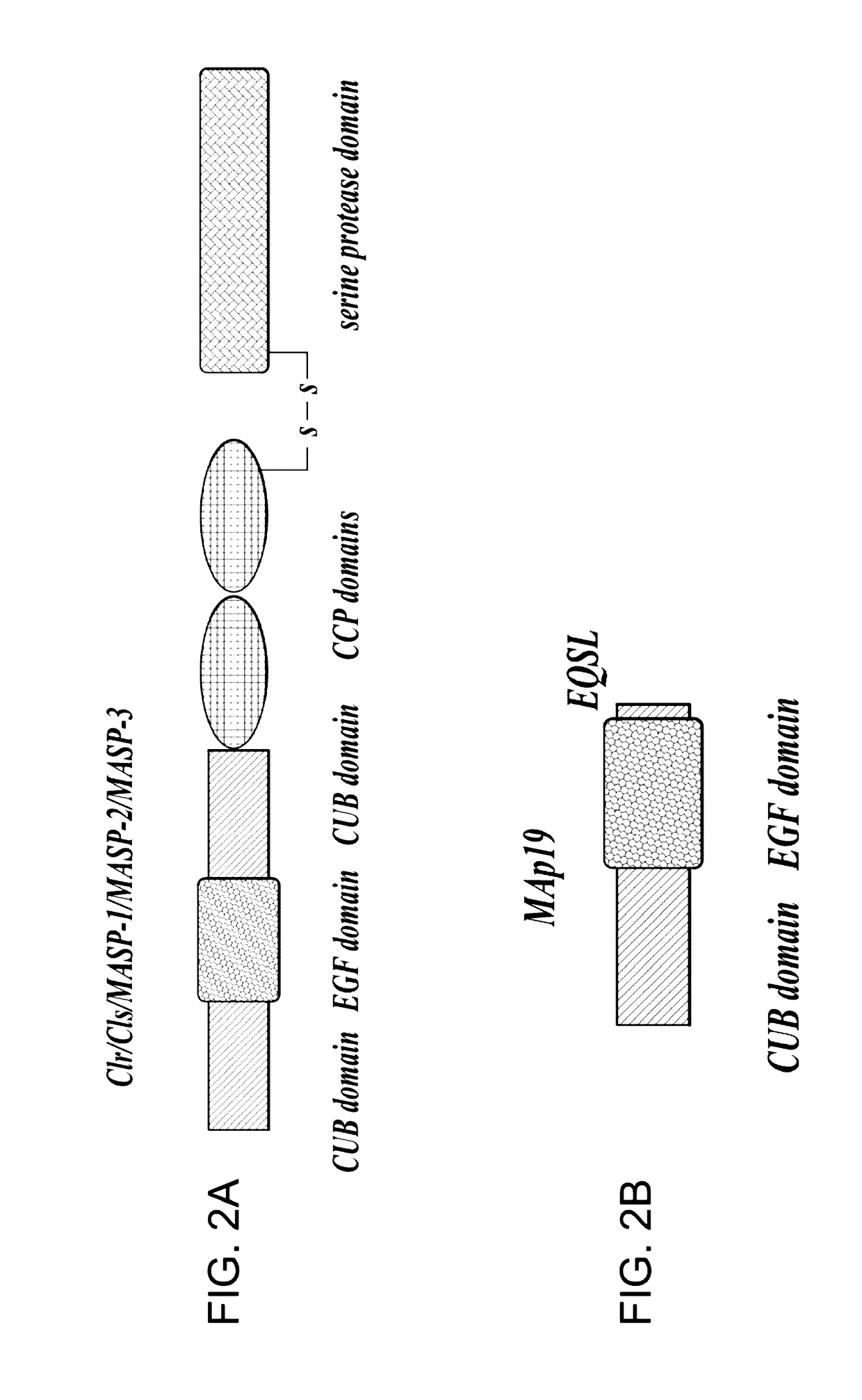 Methods for Treating Conditions Associated with MASP-2 Dependent Complement Activation