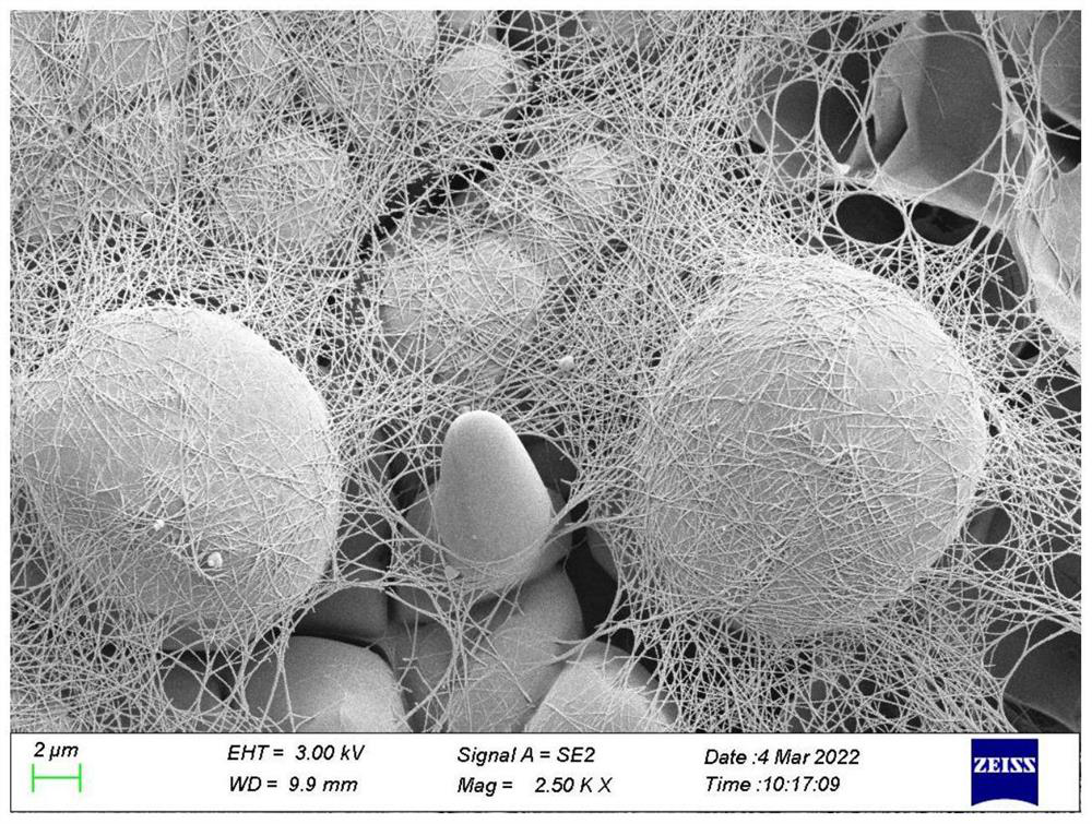 Preparation method of AgNWs (at) LiG (at) PDMS sandwich structure flexible SERS substrate