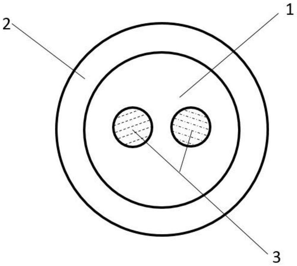 Laser shaping optical fiber and preparation method and application thereof