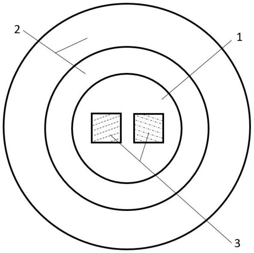 Laser shaping optical fiber and preparation method and application thereof