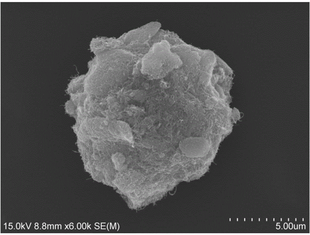 A polypropylene kettle alloy containing nanoparticles that can be used for 3D printing and its preparation method and application