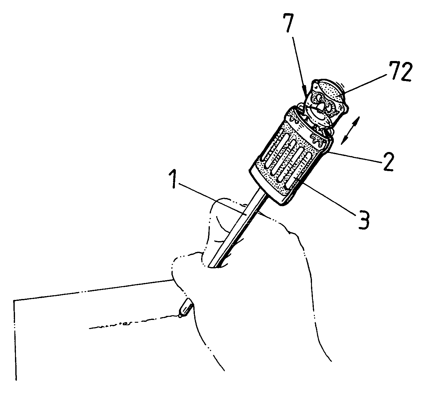 Writing implement with ornament