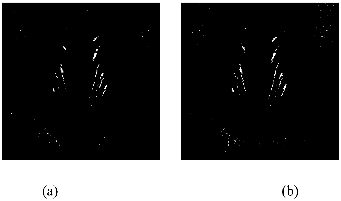 EVD-HG and DWT-SVD adaptive watermark image processing method