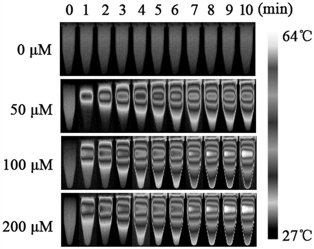 Composite gel for treatment and evaluation of chronic wounds and preparation method of composite gel