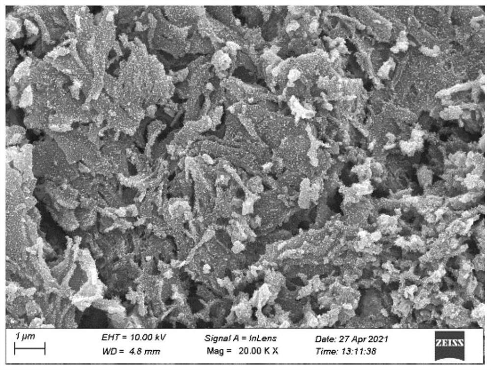 CoFe/C-CNT wave-absorbing material as well as preparation process and application thereof