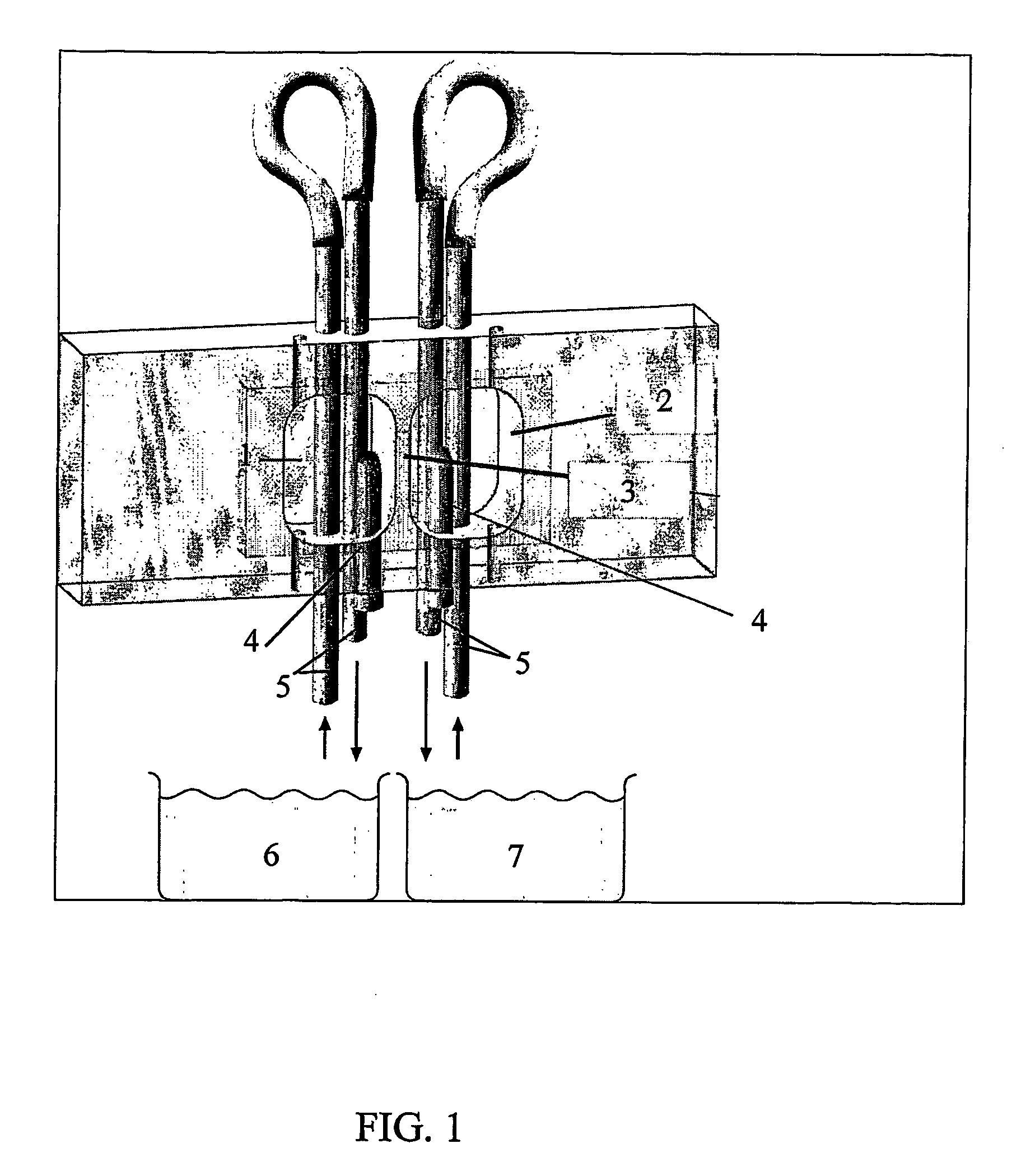 Apparatus and Methods For Selecting Capacitated Spermatozoa and Uses Thereof