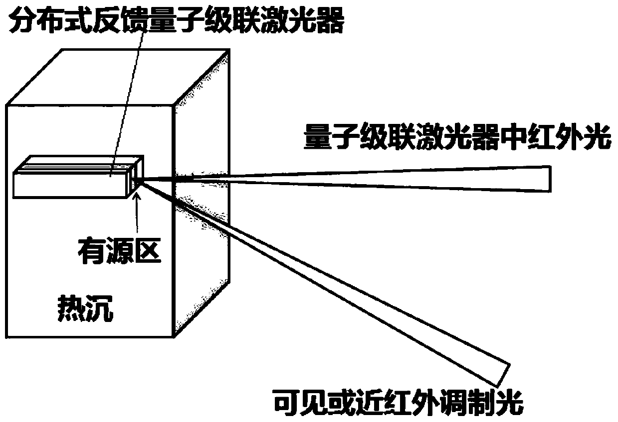 High-speed infrared frequency-modulated laser spectroscopy gas detection system and method based on quantum cascade laser