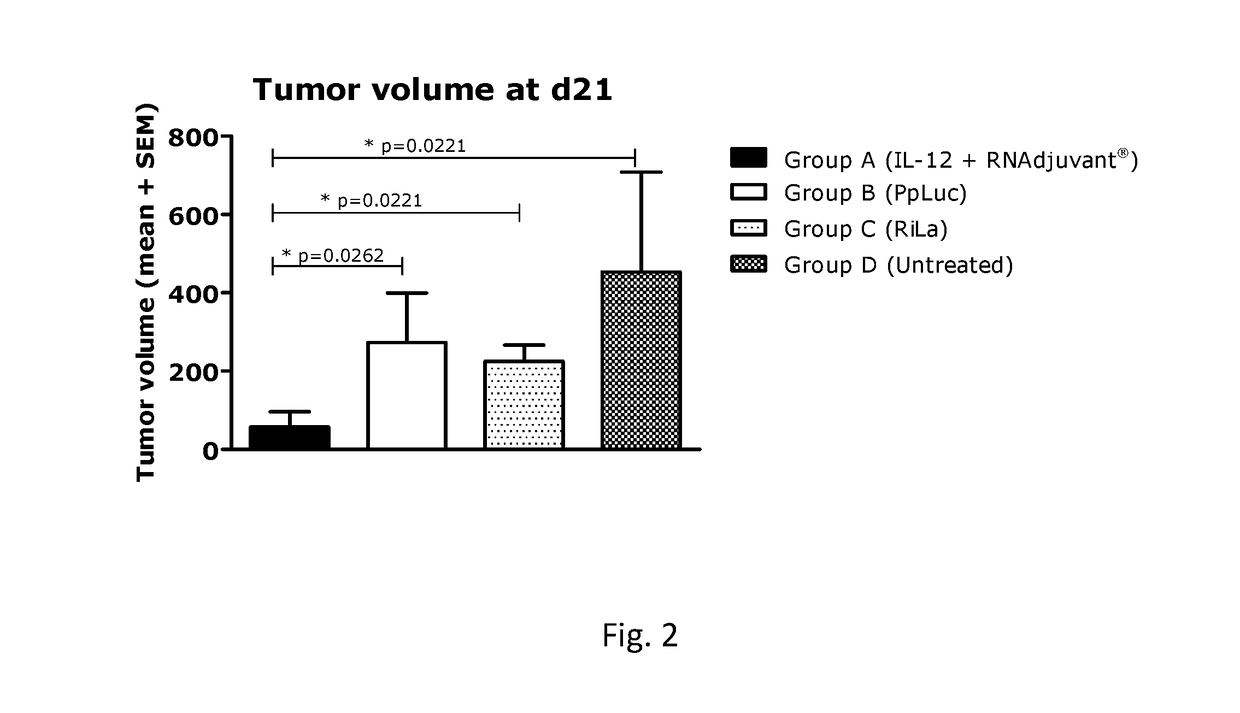 RNA containing composition for treatment of tumor diseases