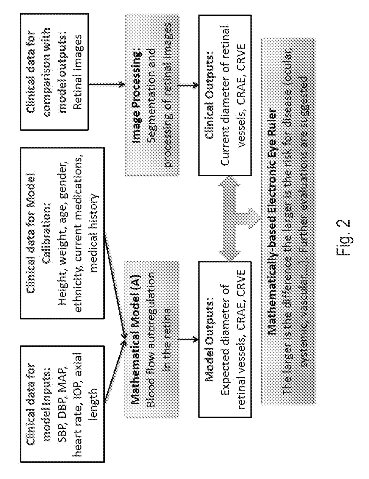 Methods and systems for patient specific identification and assessmentof ocular disease risk factors and treatment efficacy