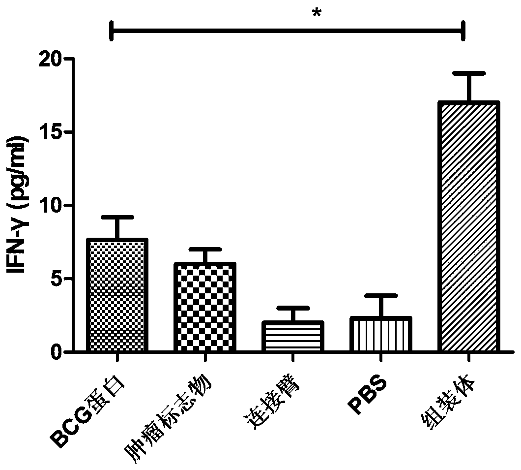 Preparation method of multidimensional multivalence prostatic cancer specificity tumor antigen assembly