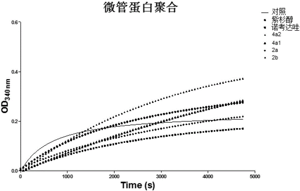 Diketone derivative as well as preparation method and application thereof