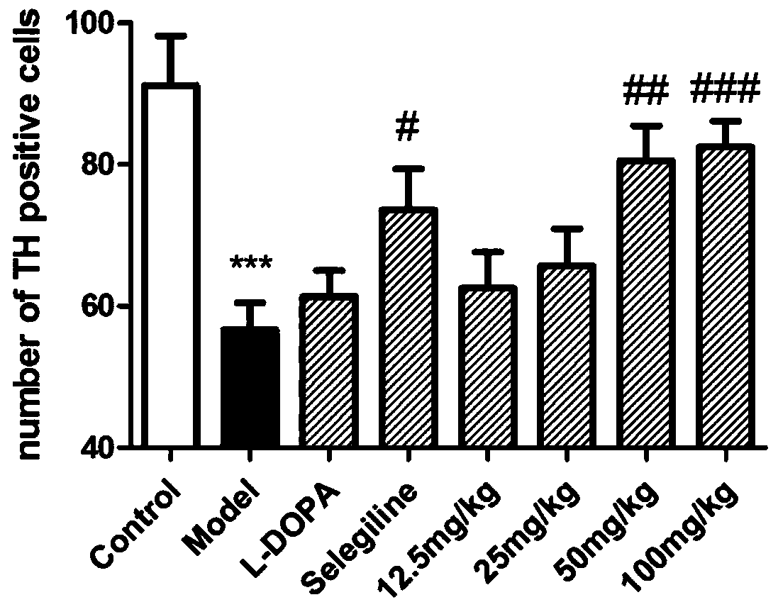 Application of saffron pigment composition in preparation of medicine for treating Parkinson's disease