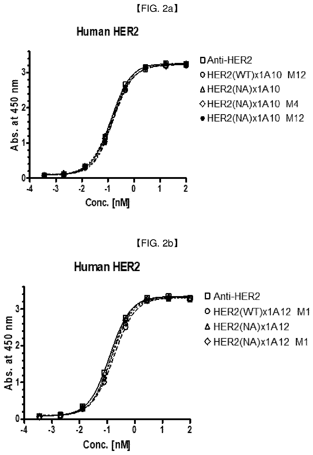 Anti-her2/Anti-4-1bb bispecific antibody and use thereof